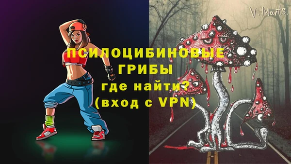 амф Аркадак